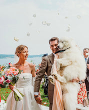 Load image into Gallery viewer, SERENE EARRINGS GOLD