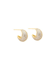 Load image into Gallery viewer, NIMA EARRINGS GOLD
